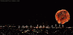 Gif animé feux d'artifices 43